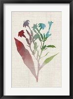 Watercolor Plants II Framed Print