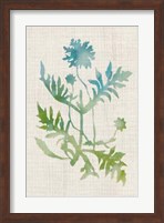 Framed Watercolor Plants III