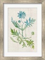 Framed Watercolor Plants III
