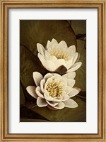 Framed Lily Pad Duo I