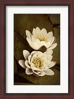 Framed Lily Pad Duo I