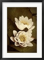 Framed Lily Pad Duo I