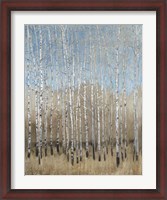 Framed Dusty Blue Birches I