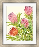 Framed Watercolor Tropical Flowers I