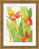 Framed Watercolor Tropical Flowers III