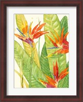 Framed Watercolor Tropical Flowers III