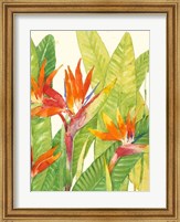 Framed Watercolor Tropical Flowers IV