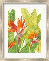 Framed Watercolor Tropical Flowers IV