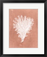 Sealife on Coral II Framed Print