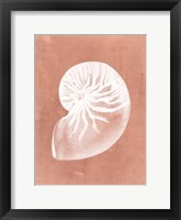 Sealife on Coral V Framed Print