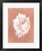 Sealife on Coral VI Framed Print
