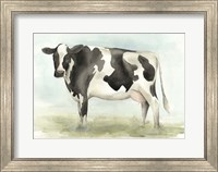 Framed Watercolor Cow II