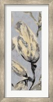 Framed Flower Bud Triptych III