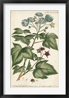 Chambray Botanical I Framed Print