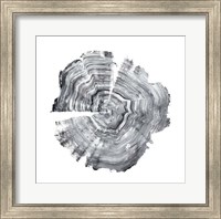 Framed Tree Ring Abstract IV