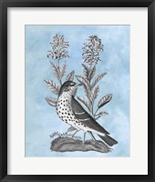 Bird on Blue I Framed Print