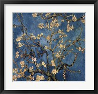 Framed Blossoming Almond Tree, Saint-Remy, c.1890 Detail