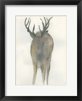 Framed Solo Deer
