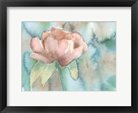 Framed Blush Rose