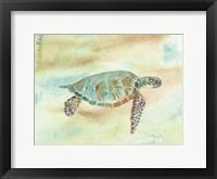 Framed Crystal Tone Sea Turtle
