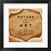 Framed Nature Art