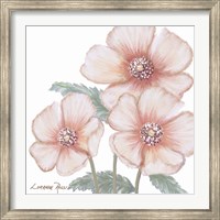 Framed Pink Poppies 1