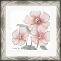 Framed Pink Poppies 1