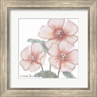 Framed Pink Poppies 1