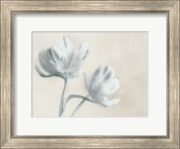 Framed Blue Ivory Blossom 2