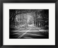 Framed Country Road 1