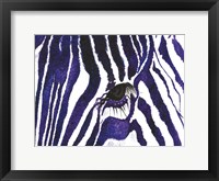 Framed Blue Zebra