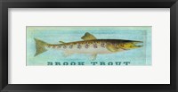 Framed Brook Trout