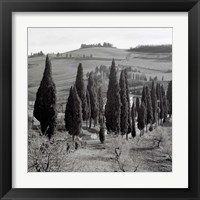 Framed Tuscany IV