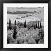 Framed Tuscany VI