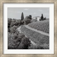 Framed Tuscany V