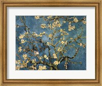 Framed Blossoming Almond Tree, Saint-Remy, c.1890