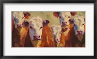 Framed Party of Five Herefords