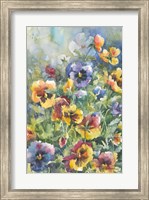 Framed Picture Perfect Pansies