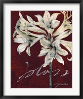 Framed Cabernet Blossoms II