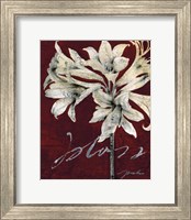 Framed Cabernet Blossoms II