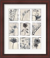 Framed Silk Botanicals