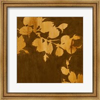 Framed Falling Leaves II
