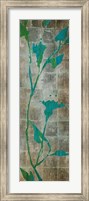 Framed Transparent Leaves I