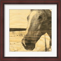 Framed Portrait of a Horse