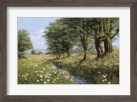 Framed Beeches And Daisies