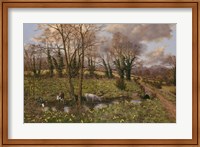 Framed Cattle And Daffodils