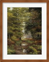 Framed Woodland In The Fall