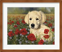 Framed Puppy And Poppies