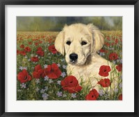 Framed Puppy And Poppies