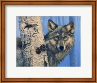 Framed Birch Wolf